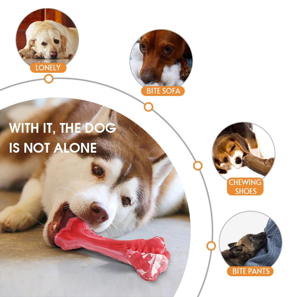 Dog Bone Chew Toy for Durable Rubber Toothbrush Cleaning Puppy Chewing.