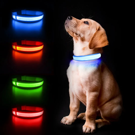 MASBRILL Dog Collar Luminous Waterpoof Safety Collars dropship