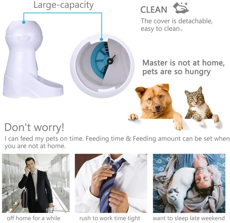 Automatic Pet Feeder With Voice Record Pets Food Bowl For Medium Small Dog Cat LCD Screen Dispensers 4 Times One Day