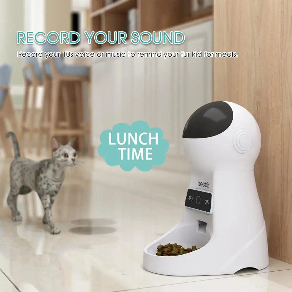 Automatic Pet Feeder With Voice Record Pets Food Bowl For Medium Small Dog Cat LCD Screen Dispensers 4 Times One Day