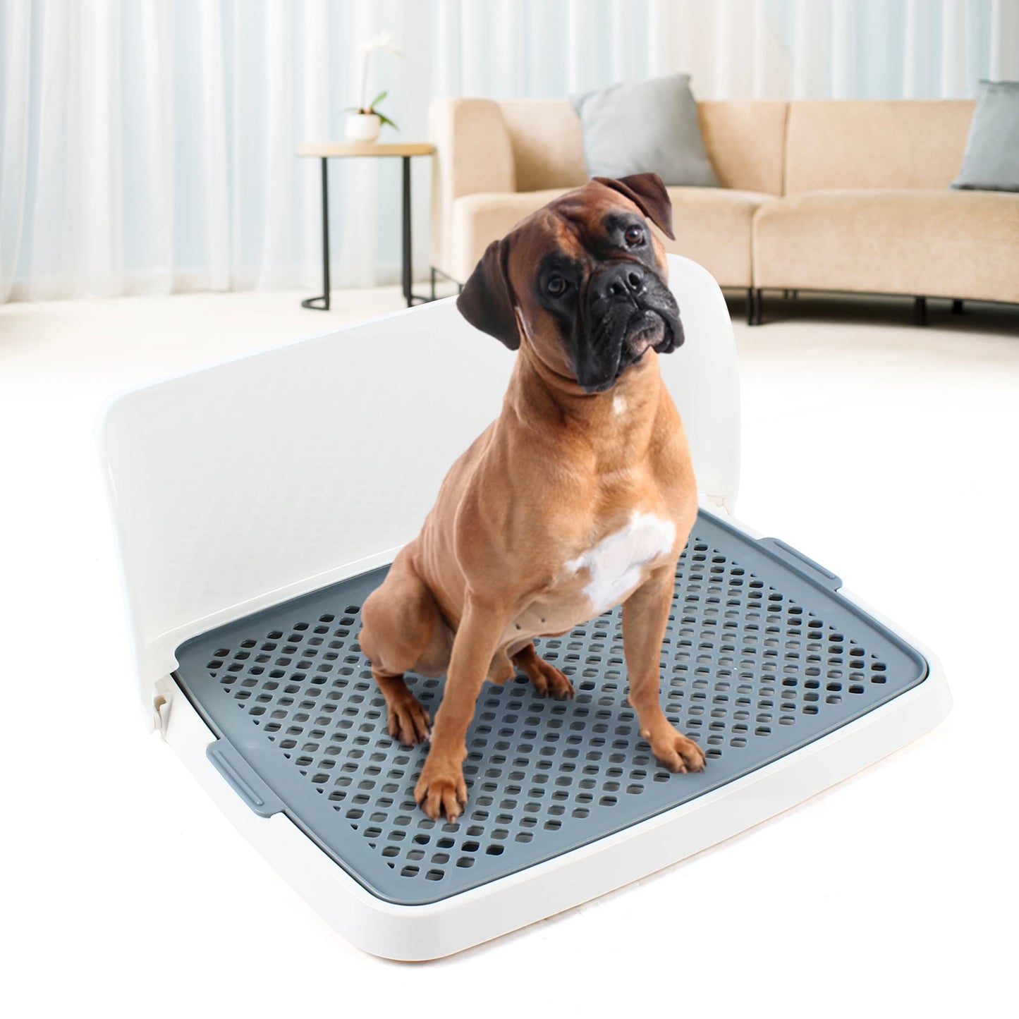 Indoor Potty Pad Tray Box.