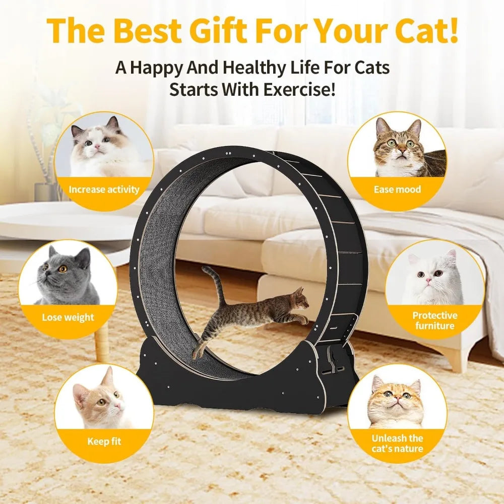 Cat Exercise Wheel for Indoor Cat Pulsive and Training.