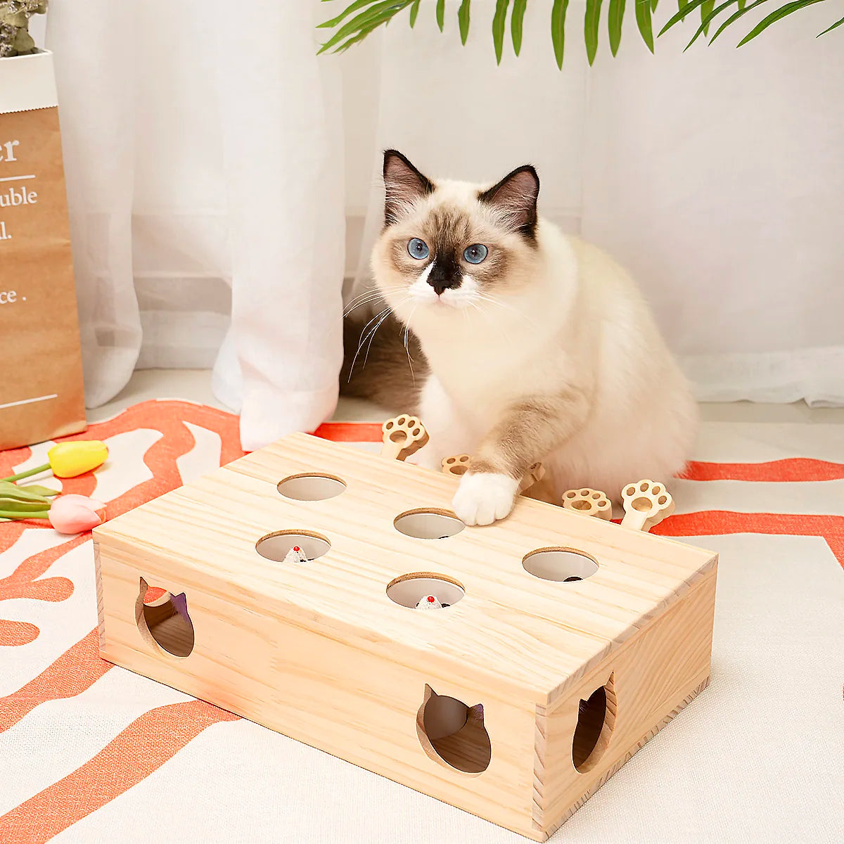 MewooFun Cat Toys Interactive Whack-a-mole Solid Wood Toys for Indoor Cats.