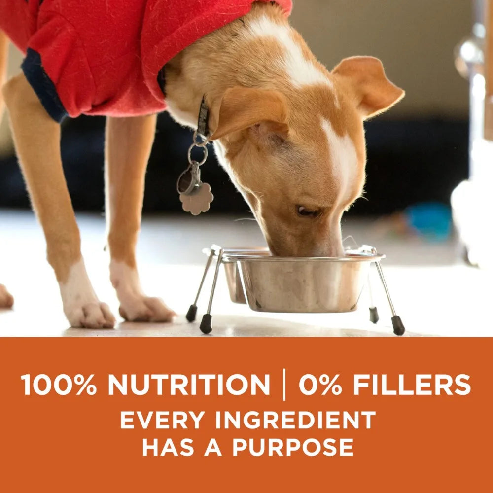 Plus Healthy Weight Dog Food Dry Formula Feed Feeding Dogs Snacks.