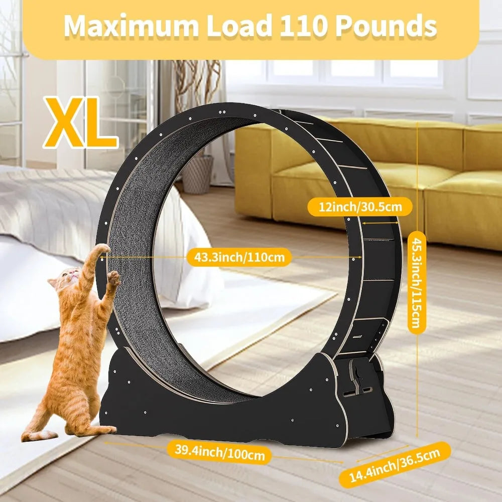 Cat Exercise Wheel for Indoor Cat Pulsive and Training.