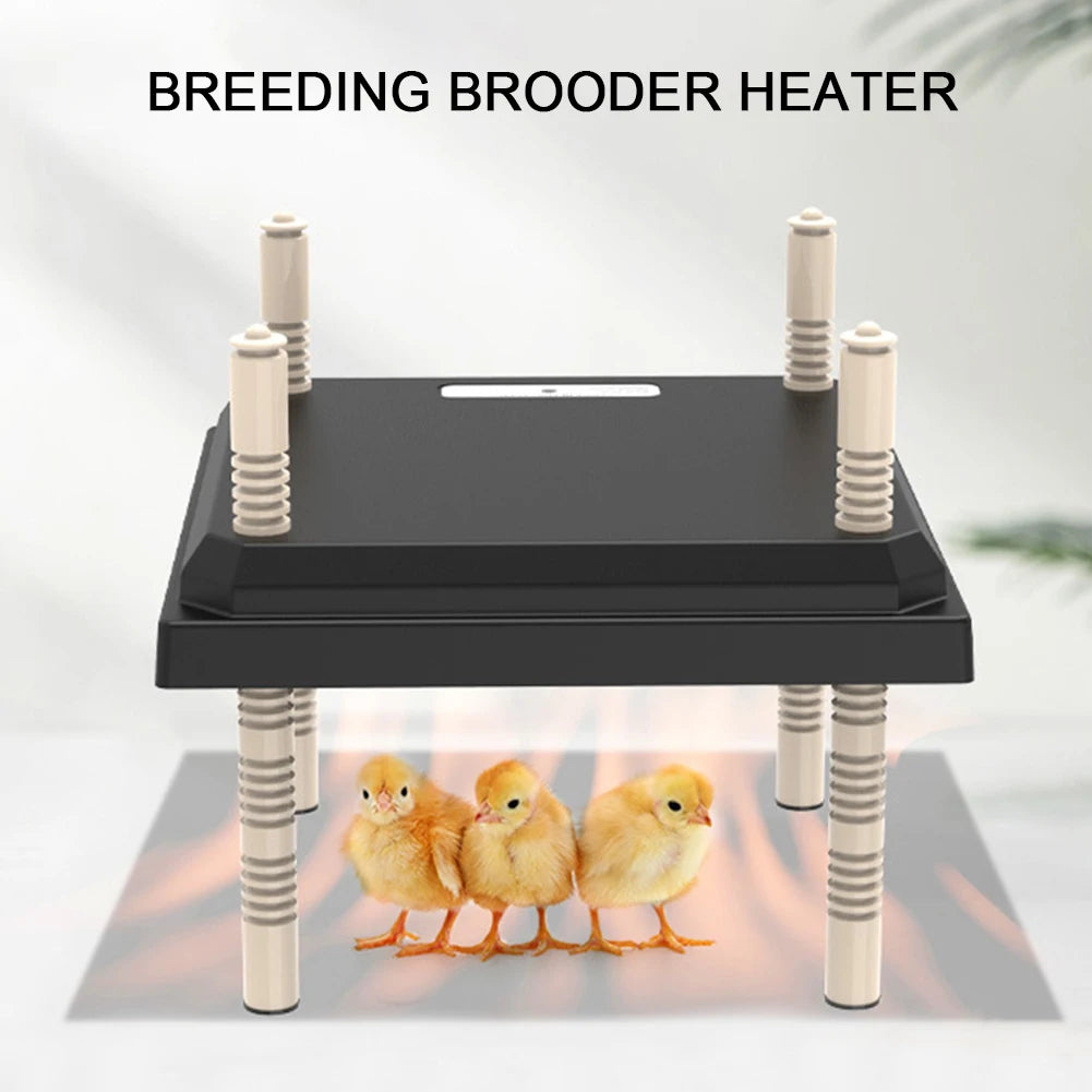 15W Chick Heater Brooder with Acrylic Plate Electric Chick Brooder Heating Plate Energy-Efficient Adjustable Height & Angle